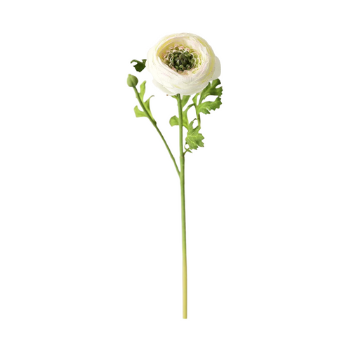 Silk Ranunculus in Cream - 13