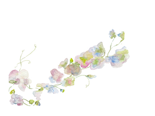 Watercolor Cherry Blossom Print- Adelaide Designs