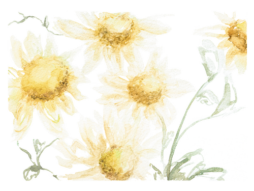 Watercolor Daisy Print- Adelaide Designs