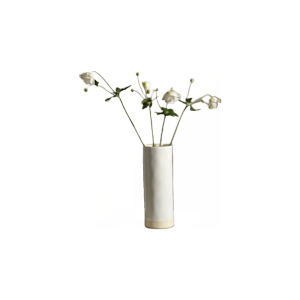 Cylinder Vase