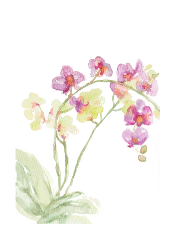 Watercolor Orchid Print- Adelaide Designs