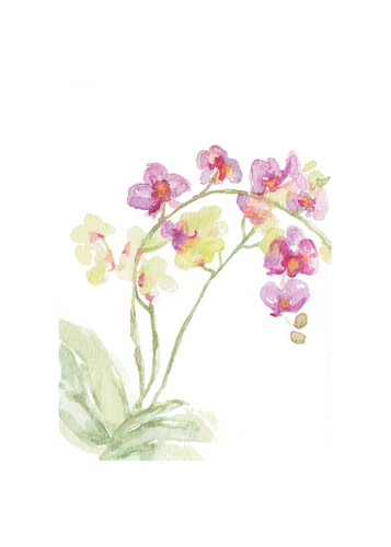 Original Watercolor Orchid- Adelaide Designs
