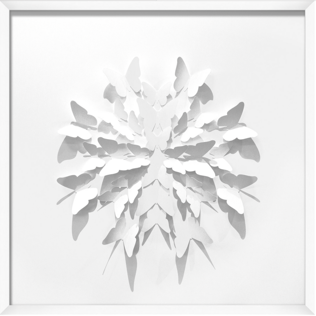Butterfly Circle