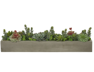 NDI Succulent Planter