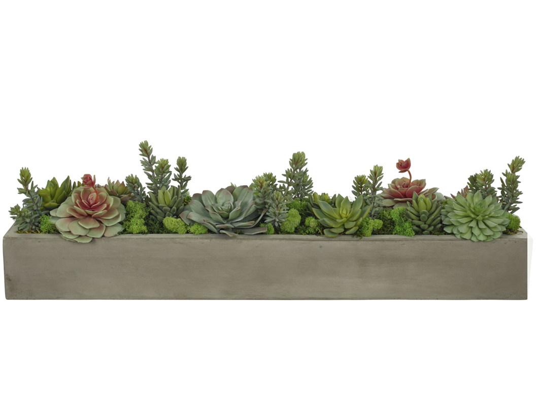 NDI Succulent Planter