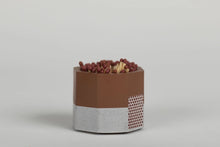 Concrete Match Holder with Striker